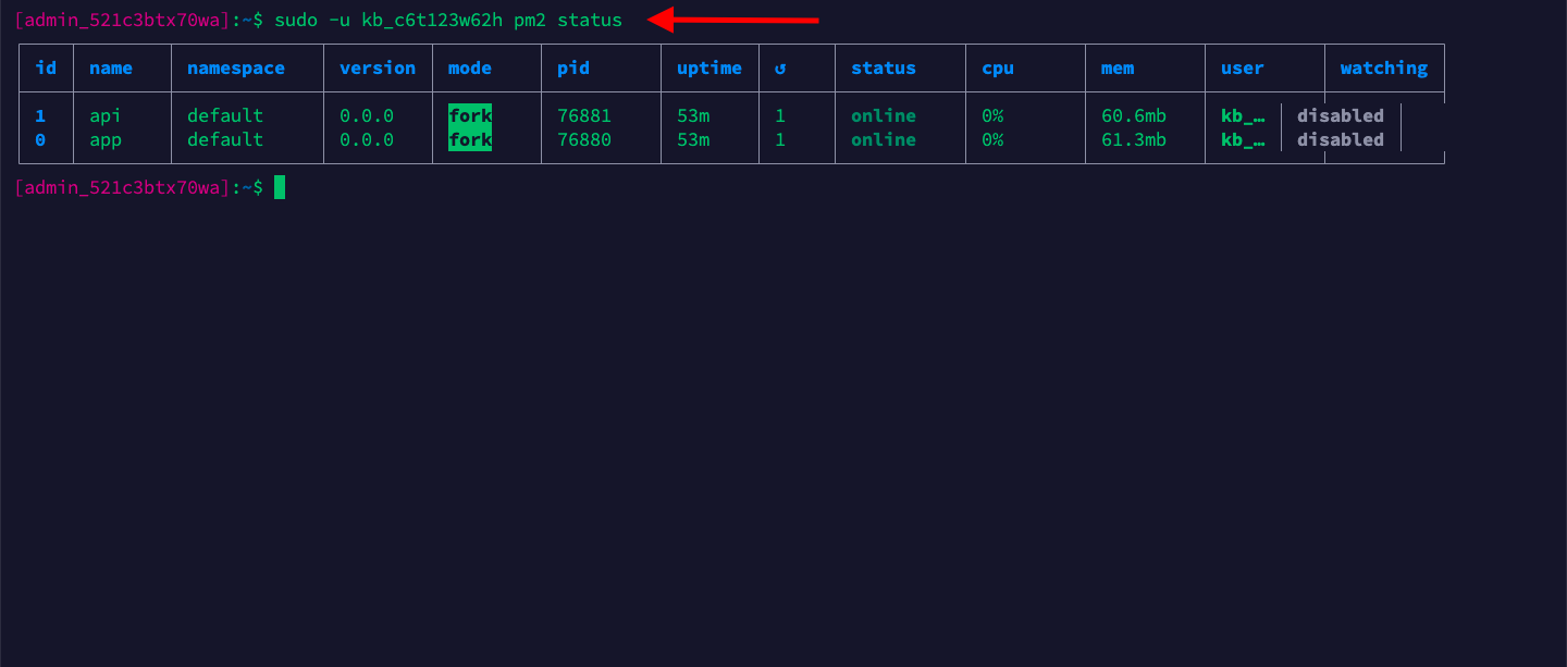 Accessing application processes using pm2 commands